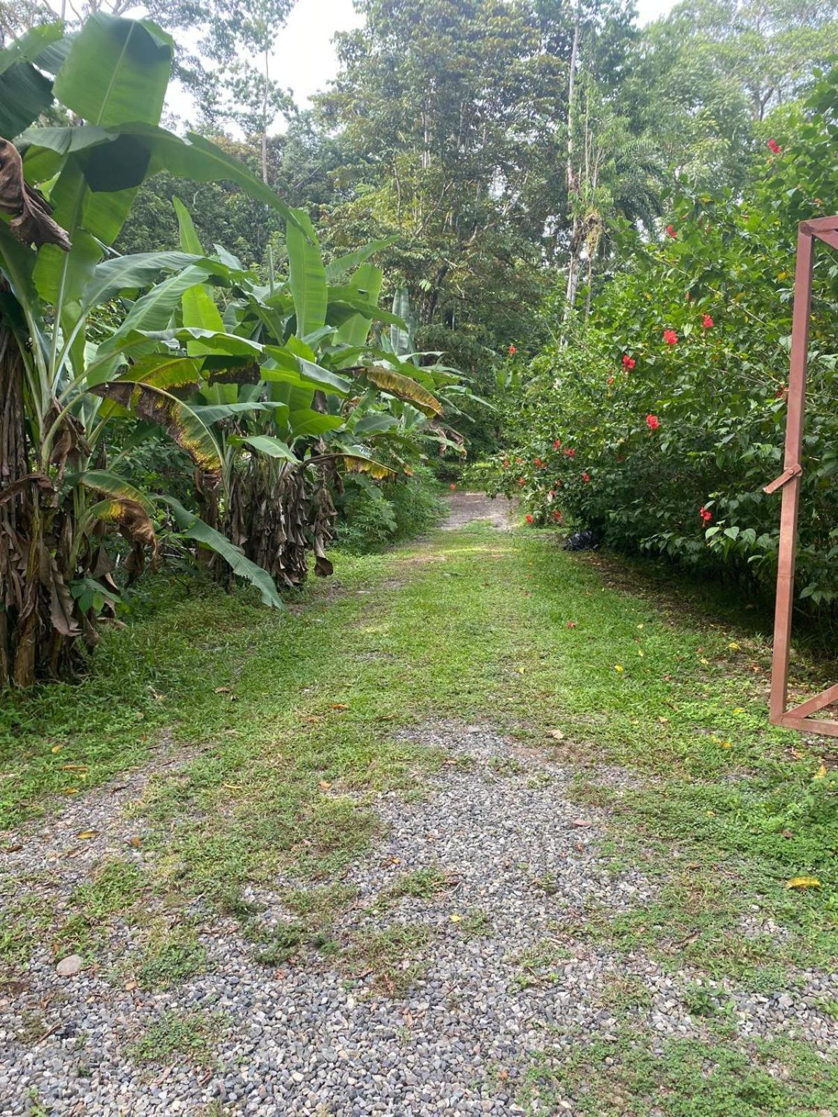 Caribbean Retreats Villa Cocles Luaran gambar