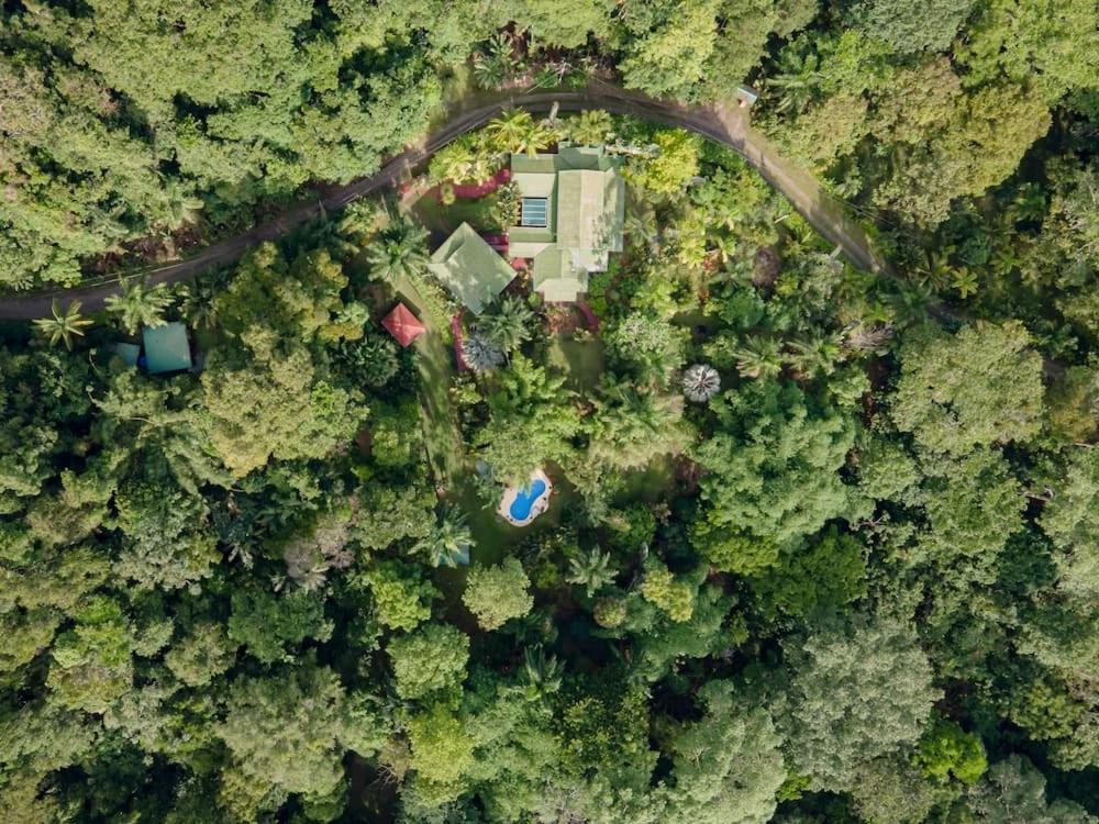Caribbean Retreats Villa Cocles Luaran gambar
