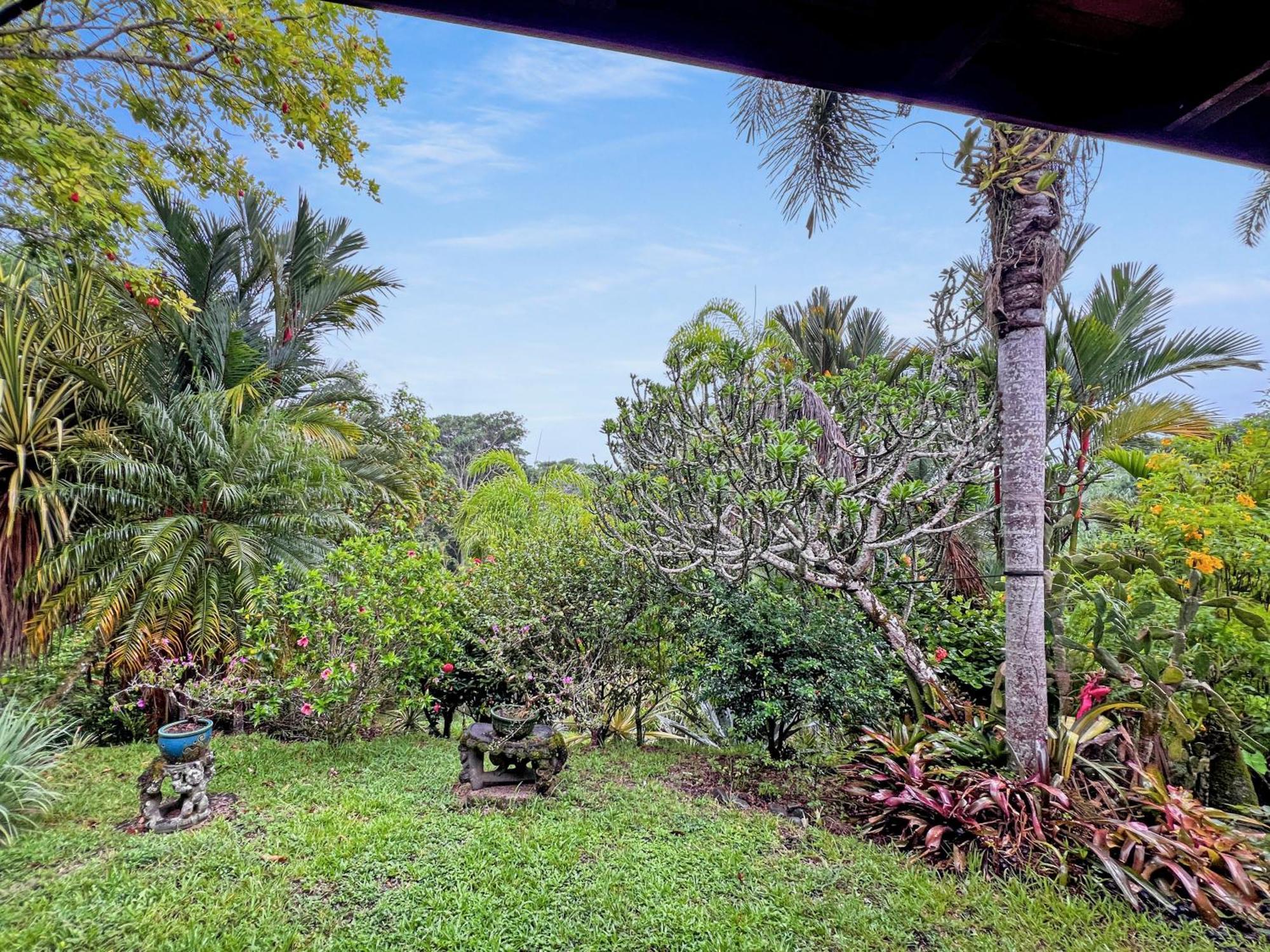 Caribbean Retreats Villa Cocles Luaran gambar