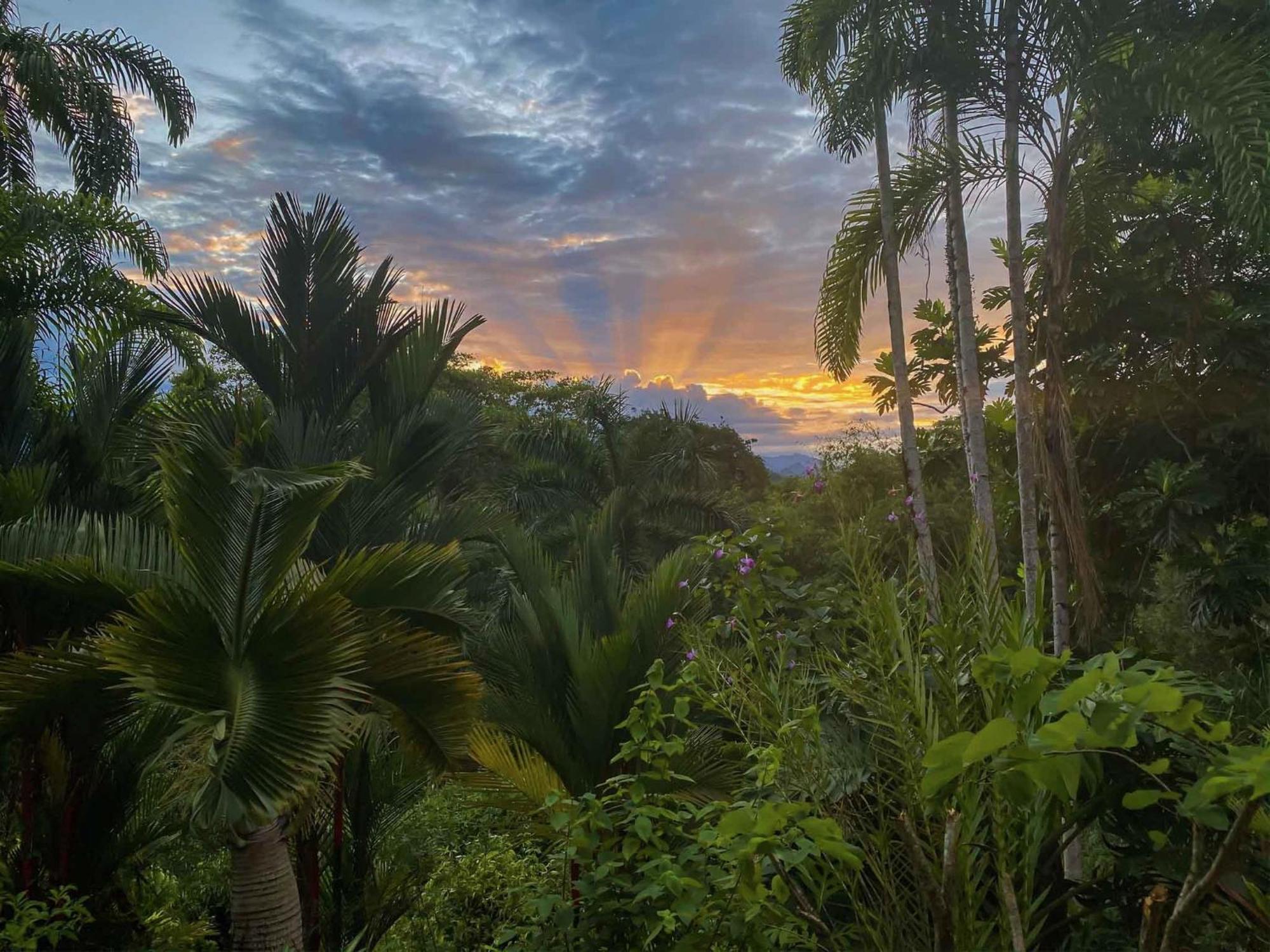 Caribbean Retreats Villa Cocles Luaran gambar